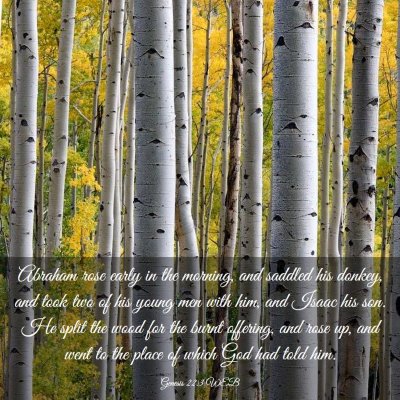 Picture 03 - Genesis 22:3 WEB - Abraham rose early in the morning, and saddled - Bible Verse Picture