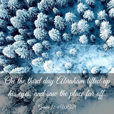 Picture 03 - Genesis 22:4 WEB - On the third day Abraham lifted up his eyes, and - Bible Verse Picture