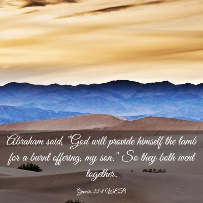 Picture 03 - Genesis 22:8 WEB - Abraham said, 