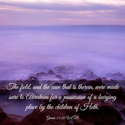 Picture 03 - Genesis 23:20 WEB - The field, and the cave that is therein, were - Bible Verse Picture