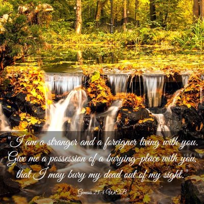 Picture 03 - Genesis 23:4 WEB - 