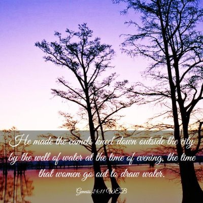 Picture 03 - Genesis 24:11 WEB - He made the camels kneel down outside the city by - Bible Verse Picture