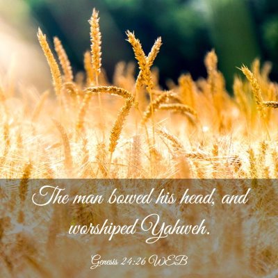 Picture 03 - Genesis 24:26 WEB - The man bowed his head, and worshiped - Bible Verse Picture