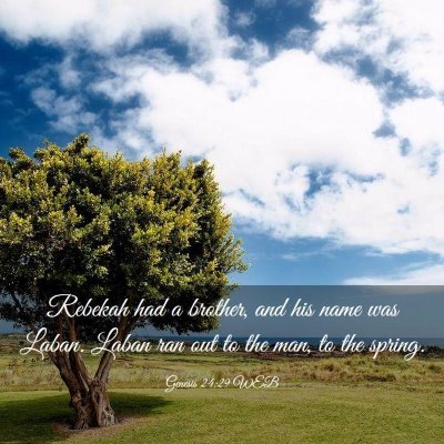 Picture 03 - Genesis 24:29 WEB - Rebekah had a brother, and his name was Laban. - Bible Verse Picture