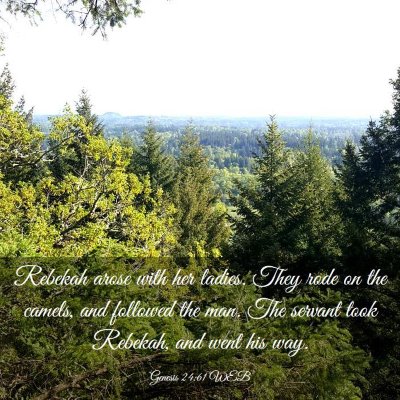 Picture 03 - Genesis 24:61 WEB - Rebekah arose with her ladies. They rode on the - Bible Verse Picture