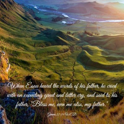 Picture 03 - Genesis 27:34 WEB - When Esau heard the words of his father, he cried - Bible Verse Picture