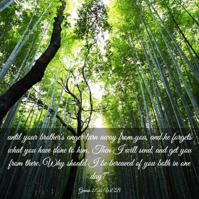 Picture 03 - Genesis 27:45 WEB - until your brother's anger turn away from you, - Bible Verse Picture