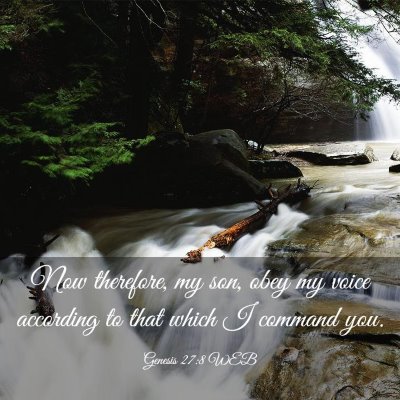 Picture 03 - Genesis 27:8 WEB - Now therefore, my son, obey my voice according to - Bible Verse Picture
