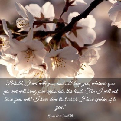 Picture 03 - Genesis 28:15 WEB - Behold, I am with you, and will keep you, - Bible Verse Picture