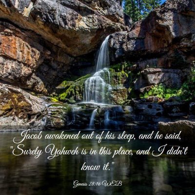 Picture 03 - Genesis 28:16 WEB - Jacob awakened out of his sleep, and he said, - Bible Verse Picture