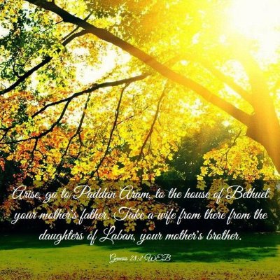 Picture 03 - Genesis 28:2 WEB - Arise, go to Paddan Aram, to the house of Bethuel - Bible Verse Picture