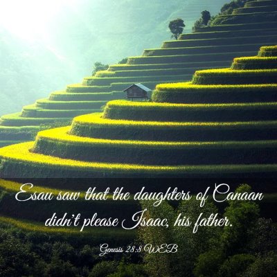 Picture 03 - Genesis 28:8 WEB - Esau saw that the daughters of Canaan didn't - Bible Verse Picture