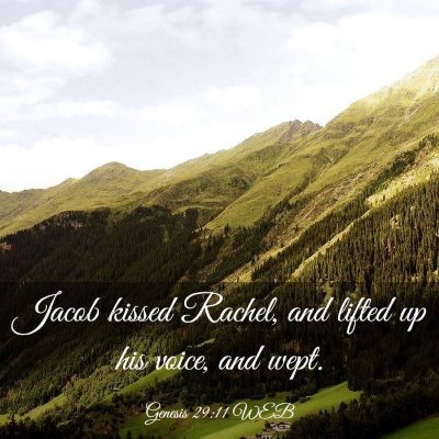 Picture 03 - Genesis 29:11 WEB - Jacob kissed Rachel, and lifted up his voice, and - Bible Verse Picture