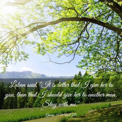 Picture 03 - Genesis 29:19 WEB - Laban said, 
