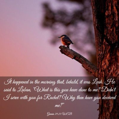 Picture 03 - Genesis 29:25 WEB - It happened in the morning that, behold, it was - Bible Verse Picture