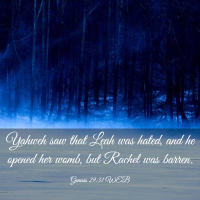 Picture 03 - Genesis 29:31 WEB - Yahweh saw that Leah was hated, and he opened her - Bible Verse Picture