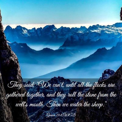 Picture 03 - Genesis 29:8 WEB - They said, 