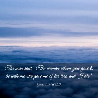 Picture 03 - Genesis 3:12 WEB - The man said, 