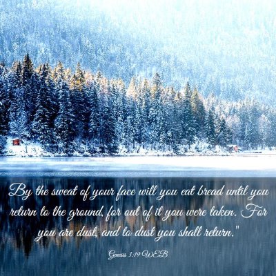 Picture 03 - Genesis 3:19 WEB - By the sweat of your face will you eat bread - Bible Verse Picture