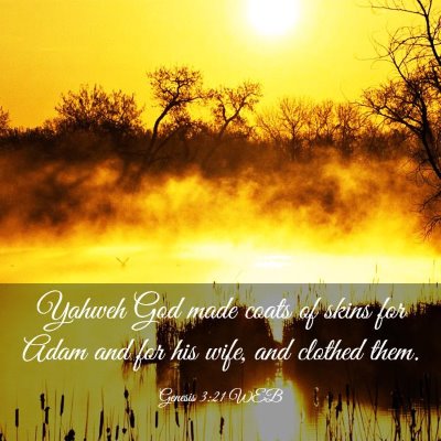 Picture 03 - Genesis 3:21 WEB - Yahweh God made coats of skins for Adam and for - Bible Verse Picture