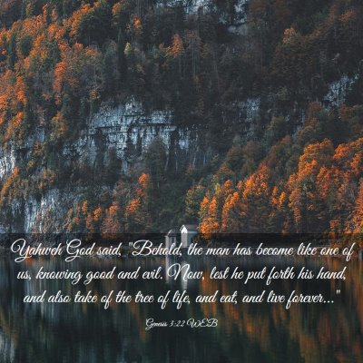 Picture 03 - Genesis 3:22 WEB - Yahweh God said, 