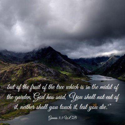 Picture 03 - Genesis 3:3 WEB - but of the fruit of the tree which is in the - Bible Verse Picture