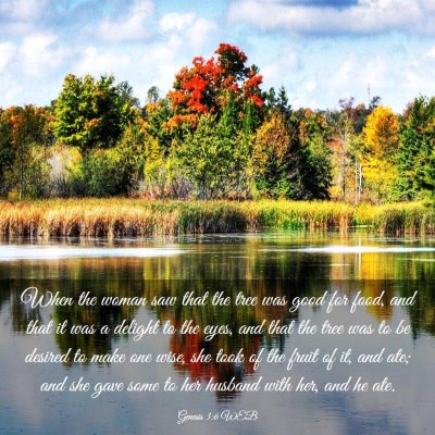Picture 03 - Genesis 3:6 WEB - When the woman saw that the tree was good for - Bible Verse Picture