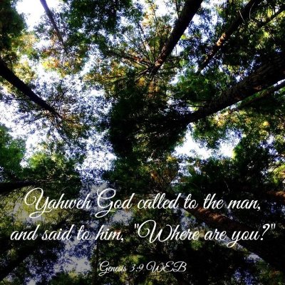 Picture 03 - Genesis 3:9 WEB - Yahweh God called to the man, and said to him, - Bible Verse Picture