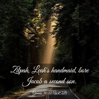 Picture 03 - Genesis 30:12 WEB - Zilpah, Leah's handmaid, bore Jacob a second - Bible Verse Picture