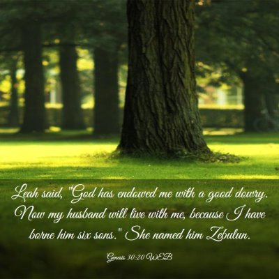 Picture 03 - Genesis 30:20 WEB - Leah said, 