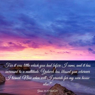 Picture 03 - Genesis 30:30 WEB - For it was little which you had before I came, - Bible Verse Picture