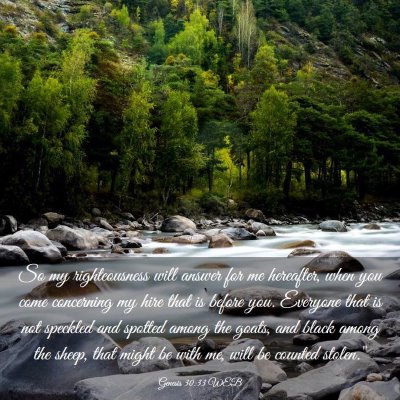 Picture 03 - Genesis 30:33 WEB - So my righteousness will answer for me hereafter, - Bible Verse Picture