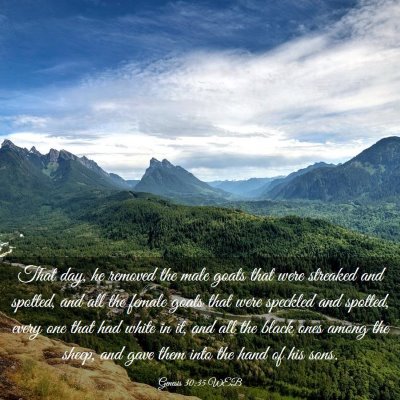Picture 03 - Genesis 30:35 WEB - That day, he removed the male goats that were - Bible Verse Picture