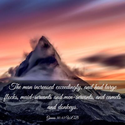 Picture 03 - Genesis 30:43 WEB - The man increased exceedingly, and had large - Bible Verse Picture