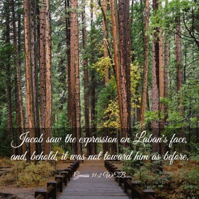 Picture 03 - Genesis 31:2 WEB - Jacob saw the expression on Laban's face, and, - Bible Verse Picture