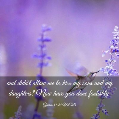 Picture 03 - Genesis 31:28 WEB - and didn't allow me to kiss my sons and my - Bible Verse Picture