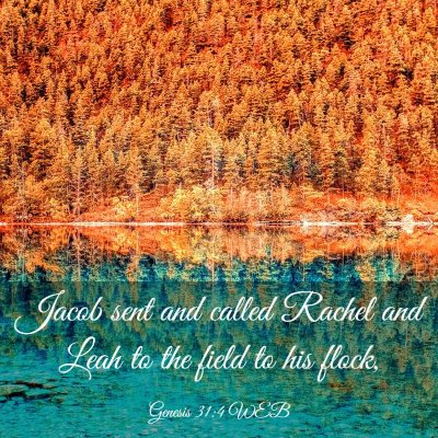 Picture 03 - Genesis 31:4 WEB - Jacob sent and called Rachel and Leah to the - Bible Verse Picture
