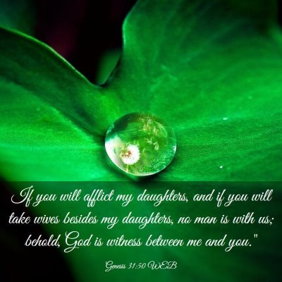 Picture 03 - Genesis 31:50 WEB - If you will afflict my daughters, and if you will - Bible Verse Picture