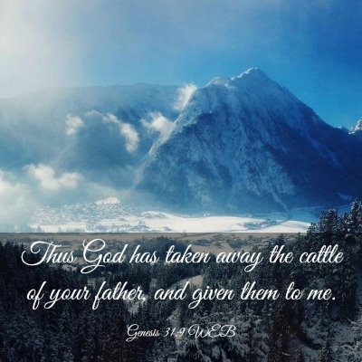 Picture 03 - Genesis 31:9 WEB - Thus God has taken away the cattle of your - Bible Verse Picture