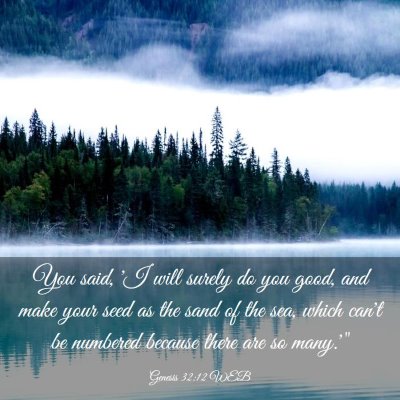 Picture 03 - Genesis 32:12 WEB - You said, 'I will surely do you good, and make - Bible Verse Picture