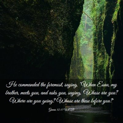 Picture 03 - Genesis 32:17 WEB - He commanded the foremost, saying, 