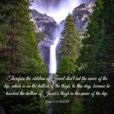 Picture 03 - Genesis 32:32 WEB - Therefore the children of Israel don't eat the - Bible Verse Picture