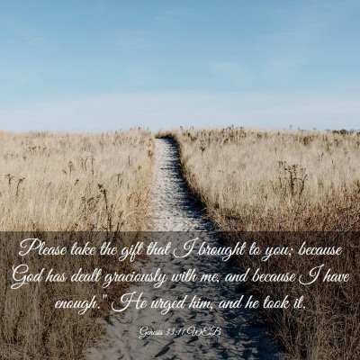 Picture 03 - Genesis 33:11 WEB - Please take the gift that I brought to you; - Bible Verse Picture