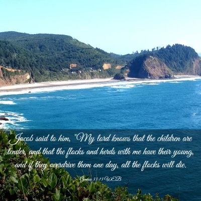 Picture 03 - Genesis 33:13 WEB - Jacob said to him, 