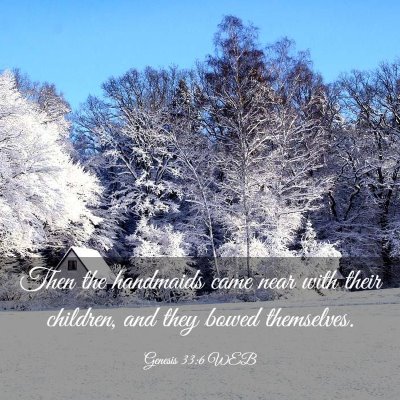 Picture 03 - Genesis 33:6 WEB - Then the handmaids came near with their children, - Bible Verse Picture