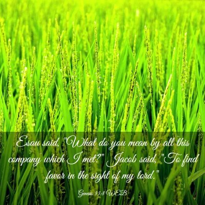 Picture 03 - Genesis 33:8 WEB - Esau said, 