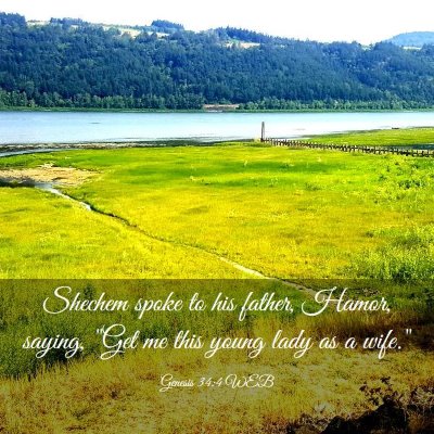 Picture 03 - Genesis 34:4 WEB - Shechem spoke to his father, Hamor, saying, 