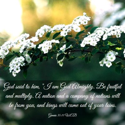 Picture 03 - Genesis 35:11 WEB - God said to him, 