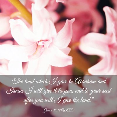 Picture 03 - Genesis 35:12 WEB - The land which I gave to Abraham and Isaac, I - Bible Verse Picture