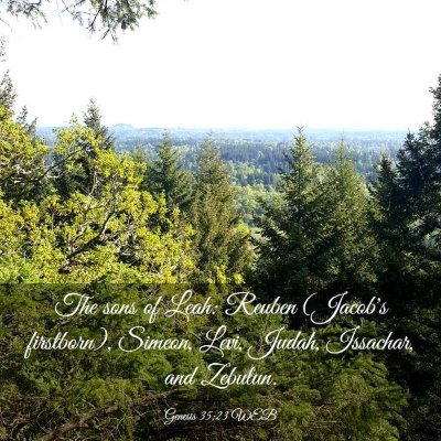 Picture 03 - Genesis 35:23 WEB - The sons of Leah: Reuben (Jacob's firstborn), - Bible Verse Picture